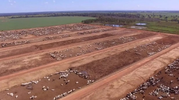 Fazenda Conforto é O Maior Confinamento Do Brasil Bahia Sem Fronteiras 2496